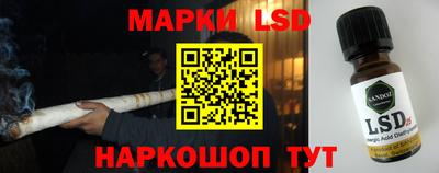 гашик Бузулук
