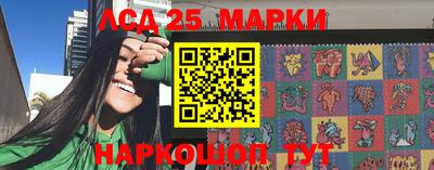 гидра Будённовск