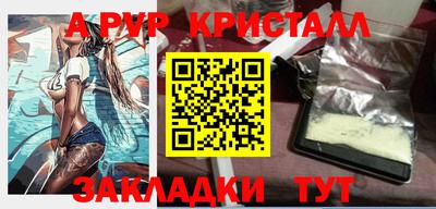 гидра Будённовск