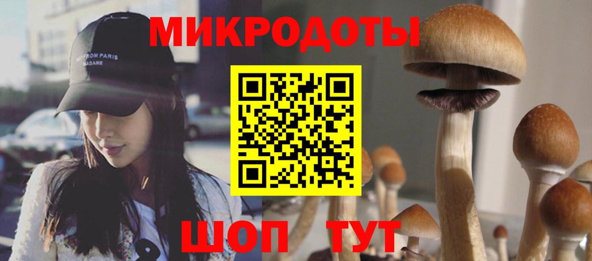 Можга  Псилоцибиновые грибы GOLDEN TEACHER  Вход с VPN 